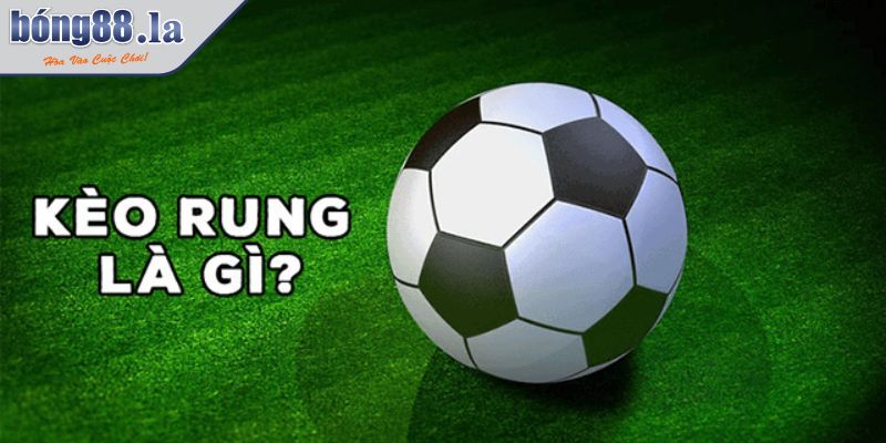 Kèo Rung Là Gì? Hướng Dẫn Chi Tiết Về Kèo Cược Hấp Dẫn Này 2 Hướng dẫn cách xem kèo rung