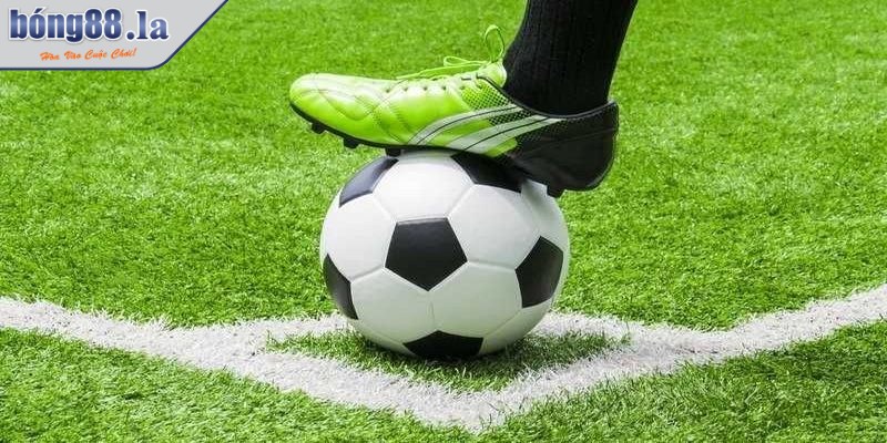 Cách tính Fair Odds chuẩn chỉnh cho anh em hiểu rõ 3 Tham khảo kỹ mọi dữ liệu đề ra trước khi áp dụng công thức